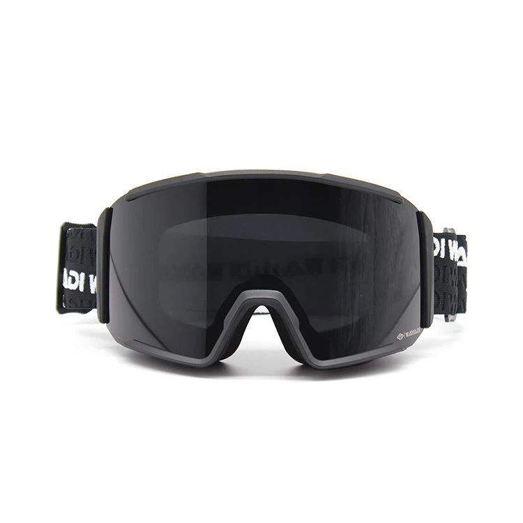 Ski Goggles Processing Ski Goggles Processing
